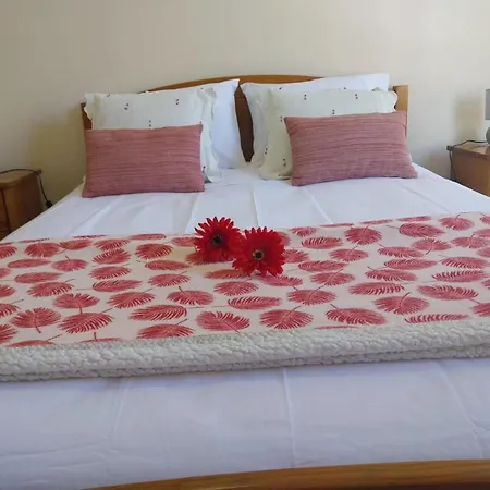 Pilar 2 Funchal, By Specialstays 푼샬